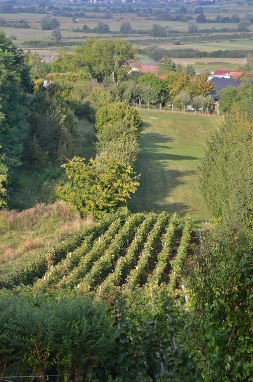 Green Zelina Sulinec Exterior foto